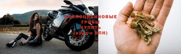ALPHA-PVP Заводоуковск