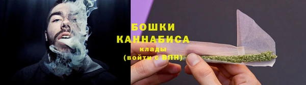 сатива Заволжск
