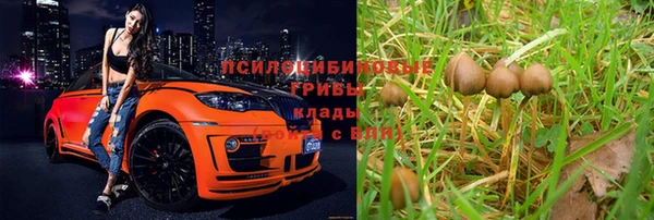 сатива Заволжск