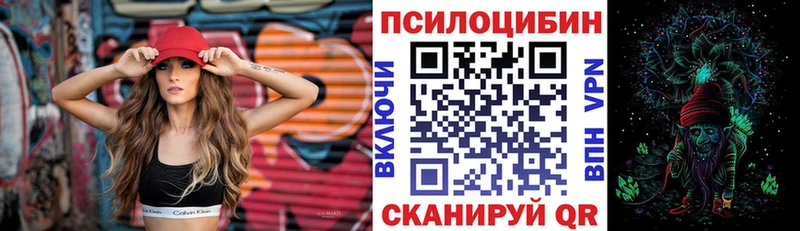 Купить где  Берёзовка  Псилоцибиновые грибы Magic Shrooms 